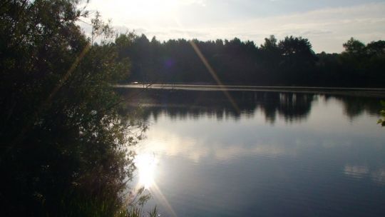Bain Valley Fisheries