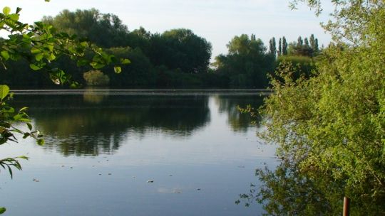 Bain Valley Fisheries