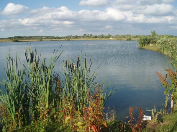 halifax lake - Bain Valley Fisheries
