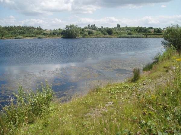 mosquito lake - Bain Valley Fisheries