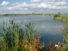 halifax lake - Bain Valley Fisheries