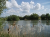 Bain Valley Fisheries
