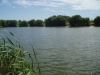 spitfire lake - Bain Valley Fisheries