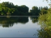 wellington lake - Bain Valley Fisheries