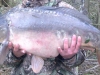 Bain Valley Fisheries