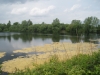 Bain Valley Fisheries